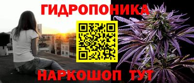 сатива Коммунар