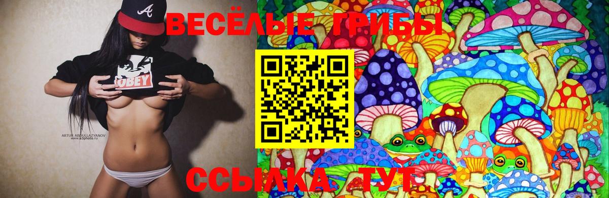 Галлюциногенные грибы Cubensis Краснодар